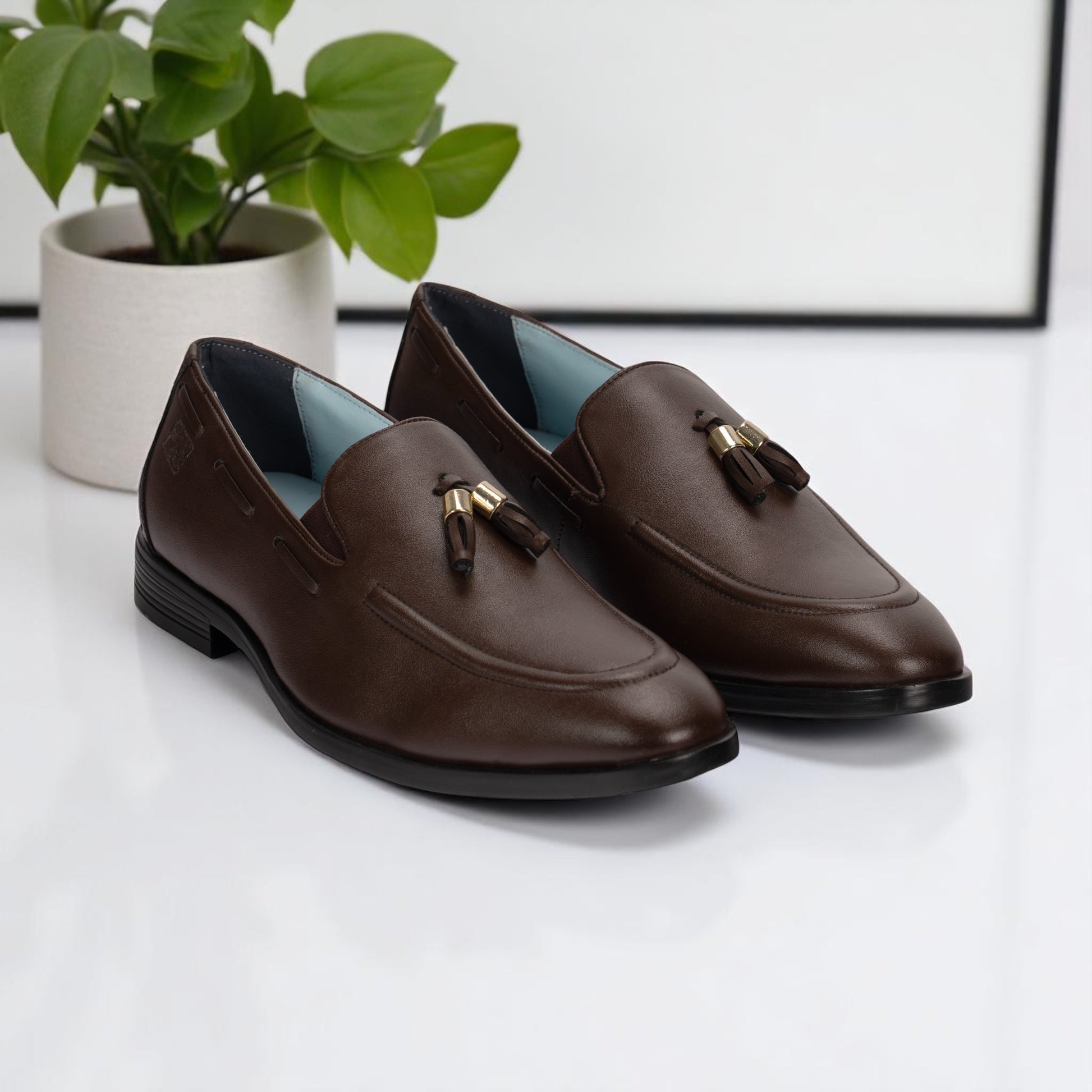 Pair of brown loafers with tassels on a white surface with a plant in the background